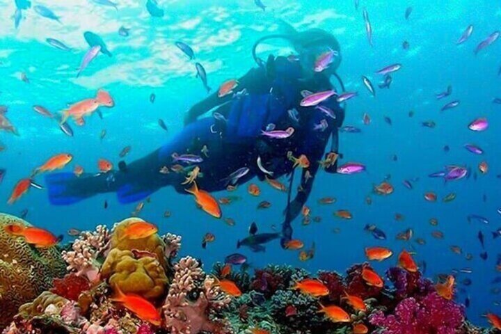 scuba diving trincomalee
